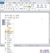 Word2010εм